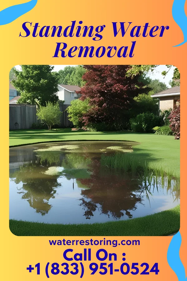 Standing Water Removal in Dakota City, NE